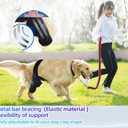L Dog Leg Braces for Back Leg for Support with Cruciate Ligament Injury-Better Recovery with Dog Knee Brace for Torn Acl Hind Leg-Adjustable Hip Dysplasia Dog Acl Brace Hind Leg Rear