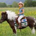 Rollda Boys Cowboy Boots, Kids Cowboy Boots with Square Toe, Girls Cowgirl Western Boots for Toddler/Little Boys/Big Kids, Size 4 