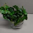 DILATATA Fake Plants Indoor 8 Inch Artificial Monstera Plant in Black Plastic Pot - Faux Potted Tropical Palm Plant for Home Aesthetic Decor Living Room Shelf Office