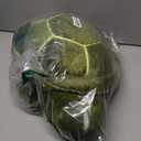 Protective Gear for Skiing Skating Snowboarding Cute Turtle Tortoise Cushion Green (Large-20.5inch)