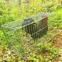 Animal Trap Cage Pigeon Squirrel Racoon Outside Trapping Live Small Animal Bird Trap Cage