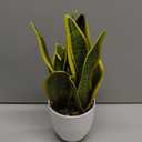 Hollyone Artificial Snake Plant Potted Faux Sansevieria Trifasciata Plants, 13" Tropical Fake Plants in White Pots for Home Office Room Indoor Decor Housewarming Gifts