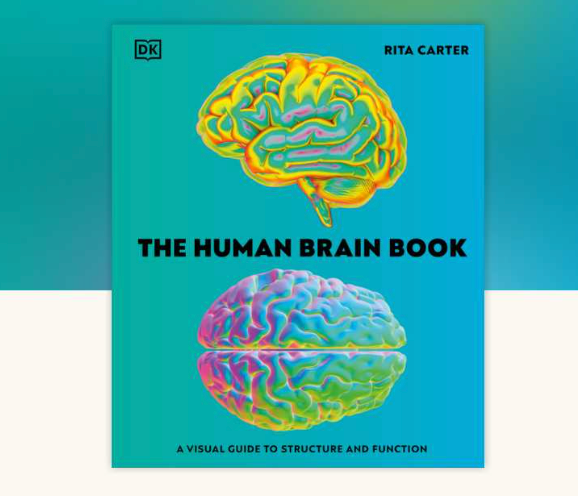 The Human Brain Book: A Visual Guide to the Structure and Function