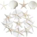 JQAQJU 3-4 Inches Large Starfish and Scallop Shells for Crafts 12PCS, Natural Beach Sea Shells for Crafting, Baking Shells Perfect for White Christmas Decor Beach Party Wedding Fish tank DIY Crafts