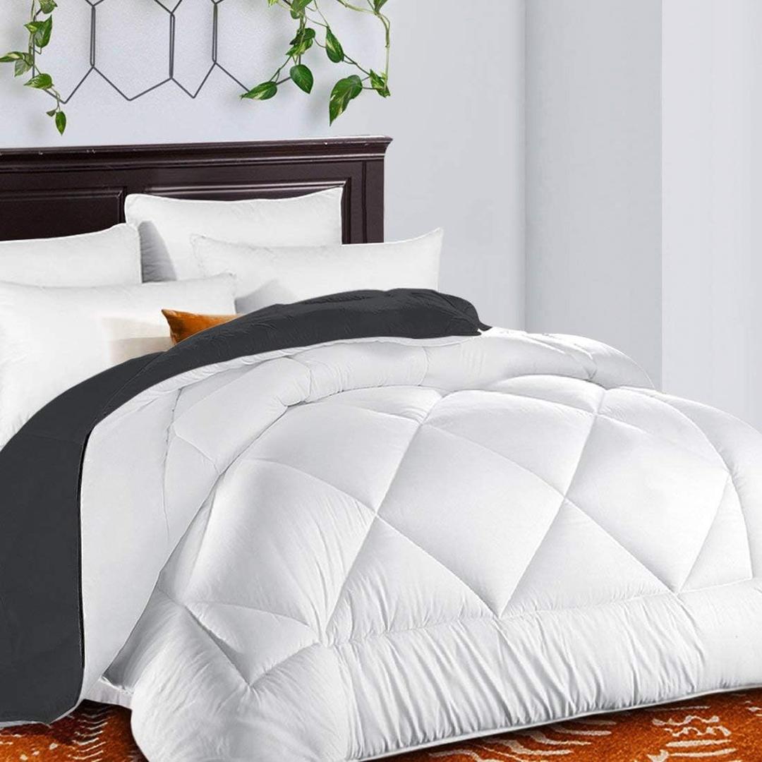 TEKAMON All Season Reversible Queen Comforter Winter Warm Summer Soft Quilted Down Alternative Duvet Insert Corner Tabs, Machine Washable Luxury Fluffy Collection for Hotel, White/Gray 88''88''