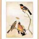 8x12 Picture Frame, Gold Metal Photo Frames with HD Glass, Fits 6x8 with Mat or 8 x 12 without Mat, Display for Wall and Table, 1 Pack