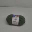Bernat Yarn Blanket Extra GRN, Smoky Green