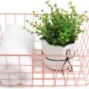 Metal Wire Storage Basket with Handles for Kitchen Food Pantry Papers Home Office Desk Bathroom Laundry Room Bedroom Bed Room Organizer, Rose (1 PC)