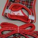 GAMUDA Small Dog Harness Collar and Leash Set, Step in No Chock No Pull Soft Mesh Adjustable Dog Vest Harnesses Plaid Reflective for Dogs Puppy Cats Kitten Rabbit (Red, S)