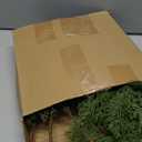 4 Pack Artificial Cedar Branches 39 Inch Faux Greenery Pine Branches for Vase Realistic Evergreen Pine Picks Suitable for DIY Crafts Christmas Tree Sprigs Garland Wreath Home Decoration