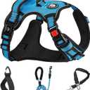 NESTROAD No Pull Dog Vest Harness with Leash, Adjustable Reflective Oxford Pet Harness with Easy Control Handle for Small Dogs, Blue (S neck 11-15" chest 15-21")