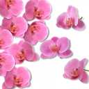 LARDUX 20 PCS Artificial Orchid Flower Heads - Fake Butterfly Flower Heads Faux Flower Head Bulk for Cakes Hair Accessories Headbands Hats Wedding Crafts Decoration - Pink