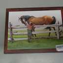 Everything but the Horse, Hardcover