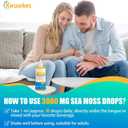 Sea Moss & Ashwagandha Root Drops - 10X Stronger Seamoss & Ashwagandha for Women & Men, Sea Moss Drops for Mood, Immunity, Digestive, Energy, Skin, Hair JointLemon Flavour - 80 Servings