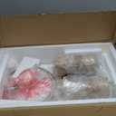 OYEARS 23.75" Bedside Table Lamps Set of 2 for Sleeping and Reading, Vintage Farmhouse Rattan Table Lamp Antique White Resin Lamp for Decoration, Office Living Room Bedside Table