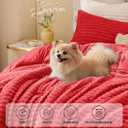 BEDELITE Fleece Queen Comforter Set -Super Soft & Warm Fluffy Red Bedding, Luxury Fuzzy Heavy Bed Set for Winter with 2 Pillow Cases
