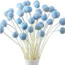 Janinka 40 Pcs Artificial Dried Craspedia Flowers Bulk Blue Fake Billy Button Balls Flowers Dried Floral Bouquet Arrangements for DIY Wedding Office Home Party Tall Vase Boho Decor