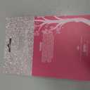 Pink Wicked mirror & comb set Pack of 5