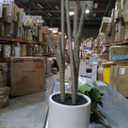 Artificial Dracaena Tree 5ft, Tall Fake Dracaena Plants with White Planter, Faux Dragon Tree Indoor Floor Plant for Home Decor Office Living Room Porch Housewarming, 1Pcs