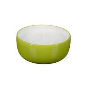 Everyday Living Citronella Bowl - Lime Green, 9 oz