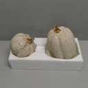 DN DECONATION Fall Pumpkin Decorations Table Centerpieces, 2Pcs White & Gold Artificial Pumpkins Figurines for Autumn Thanksgiving Harvest Indoor Home Decor (Resin with Rope-Wrapped Texture)