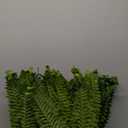 FOREST PRINCE
35" Ferns Artificial Bush Plants Large, 2 Artificial Boston Ferns with 39 Fronds for Outdoors Home Decor