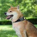 Dog Collar for Small Medium Large Dogs, Reflective, Adjustable Heavy Duty Dog Collar, Soft Neoprene Padded Comfortable for Walking (Black, S)