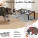 Elevated Cat Bowls with Food Mat, 10Tilted Non-Slip Raised Cat Food Water Bowls Set, 3 Thick Stainless Steel Pets Dishes with Cute Metal Feeding Stand for Indoor Kitten Puppy, Anti-Vomiting