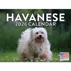Havanese Calendar 2026 Wall 12 Month Monthly Havaneses Gifts For Havanese Lovers Women Men Mom Dad | American Made In The USA