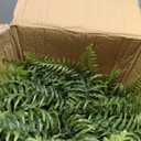 2 Set Fake Ferns with Hanging Baskets, UV Resistant Fake Hanging Ferns Plants, Outdoor Artificial Hanging Plants for Front Porch Garden Balcony Patio Home Decor, No Assembly