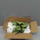 5Pcs Realistic White Hydrangea Artificial Flowers with Stems 21 Inch Lifelike Faux Hydrangeas Flower Large Hydrangea for Weddings Bouquets Table Centerpieces Home Decor Party