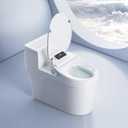 XCQQ Electric Bidet Toilet Seat with Remote, Heated Toilet Seat, Instant Warm Water, Warm Air Dryer, Rear & Feminine with Oscillating Cleansing, Night Light, Slow Close Lid, LED Display - Elongated