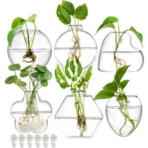 yarlung Set of 6 Wall Hanging Planter Terrarium, Clear Glass Plant Vase Wall Mount for Propagating Hydroponics Plant, Indoor Air Plants, Stylish 6 Shapes (Plants Not Included)