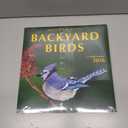 3 x Backyard Birds Calendar 2026-12-Month Hangable Wall Calendar with Nature Photography, Beautiful calendar 2026, Ideal Gift for Birders, Home/Office Decor, Wildlife Images & Bird Watching