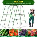63" Tall Cucumber Trellis for Raised Garden Bed U-Frame Arch Tunnel Trellis Metal Tomato Cage Plant Support Stand for Peas,Bean,Grapes,Flowers,Vines Climbing Plants Outdoor