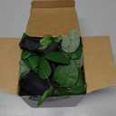 Greentime 2 Pack Black Red Artificial Rose Flower Garland 13ft Gothic Elegant Valentine's Day Decor Fake Rose Vine Gift for Her Home Wedding Arch Party Wall Table Birthday Decoration