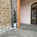 48'' Spiral Artificial Topiaries Trees Outdoor Front Door Decor Set of 2