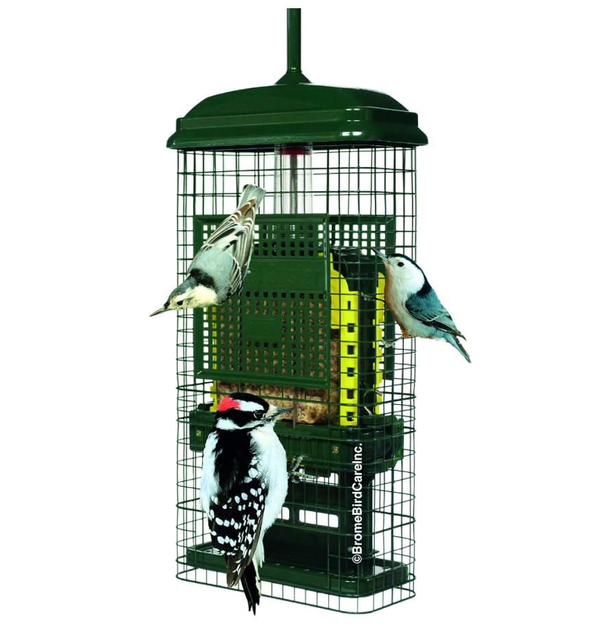 quirrel Buster Suet Squirrel-Proof Suet Bird Feeder with Two Suet Cake Trays, Two Crumb Ports, Mess-Free Suet Loading, Durable Green Design for Clinging Birds