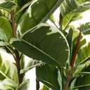 FLOWORLD Artificial Rubber Tree Plant 6ft Tall Faux Ficus Tree Potted Fake Tropical Plants Decorative House Plants Large Floor Artificial Trees for Home Office Decor, Without The Pot