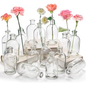 YOUEON 16 Pack Clear Glass Bud Vases, Small Bud Vases in Bulk, Glass Flower Vases for Centerpieces, Vintage Decorative Bottle Vases for Flowers, Home Decor, Wedding Reception, Office