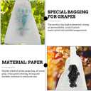 Cabilock Grape Protection Bags 50Pcs Waterproof Nursery Bags for Fruit Growth and Packaging Grow to Shield Grapes from Sun Rain and Birds 12.99X9.44 Inch