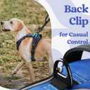 Rabbitgoo Dog Harness Medium Sized, No Pull Pet Harness with 3 Buckles, Adjustable Soft Padded Vest with Control Handle, Walking Reflective Pet Vest for Medium Dogs, Blue, M