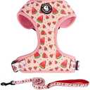 Dog Harness and Leash Set, Adjustable Dog Harness, Dog Leash, No Pull No Choke Puppy Harnesses for Walking Training for Small Medium Pet (M(chest 15.7 - 22.1", Neck 12 - 15"), Watermelon)