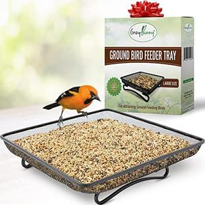 Gray Bunny Bird & Squirrel Feeder Tray 11x11 Inches, Cardinal, Blue Jay, Crow, Wild Large Bird Feeders for Outdoors, Outside Free Standing Metal Hopper Bowl Feeding Platform