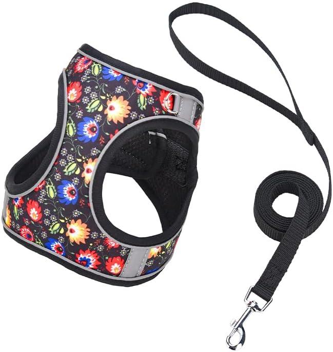 Step in Dog Harness No Pull Flower Adjustable Soft Mesh Padded Reflective Pet Vest Harness and Leash Set, XS