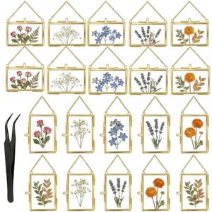 20 PCS Pressed Flower Frames with Tweezers,Wall Hanging Double Glass Frames 2.5x3.5 with Metal Chain for Dried Plants,Floating Photo Frame for Gallery Artwork, Horizontal Vertical,Gold