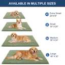 OLANLY Dog Door Mat for Muddy Paws 24x16, Ultra Absorbent Chenille Mud Doormat, Non-Slip Washable and Dirt Trapping Doormat for Indoor Entryway, Quick-Dry Indoor Pet Bed Mats for Dogs, Sage Green