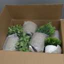 Artificial Potted Plants Faux Greenery in Cement Pots for Shelf, Bookshelf, Office or Home Decor, Small Decorative Fake Plants for Modern Indoor Display (Large)