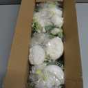 4 Bundles Artificial Peonies Silk Flowers, White Faux Peony Bouquet Florals Arrangements Decor for Farmhouse Home Boho Wedding Table Centerpiece, Fake Plastic Flowers Bulk Vase Decoration (White)