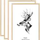 Amazon.com: Yaetm 16x24 Picture Frames, Natural Solid Oak Wood Frame 16 x 24 inch, Ideal for Wall Gallery and Poster, Wall Mount (4 Pack, Oak) : Home & Kitchen